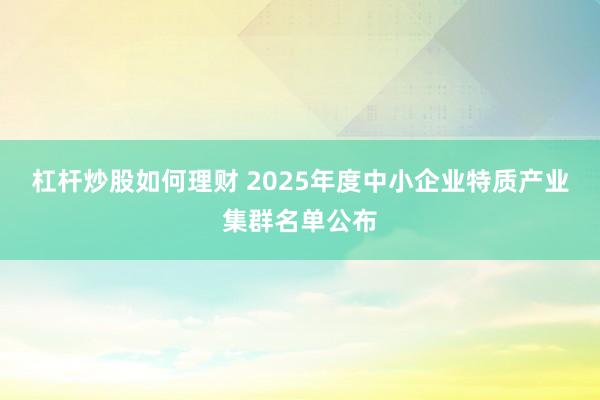 杠杆炒股如何理财 2025年度中小企业特质产业集群名单公布
