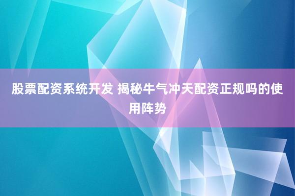 股票配资系统开发 揭秘牛气冲天配资正规吗的使用阵势