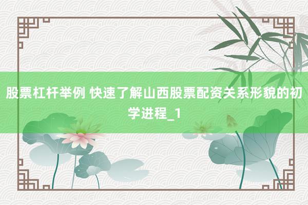 股票杠杆举例 快速了解山西股票配资关系形貌的初学进程_1