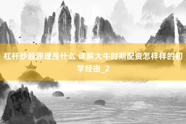 杠杆炒股原理是什么 详解大牛时期配资怎样样的初学经由_2